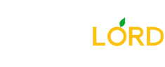 cdkeylord.com